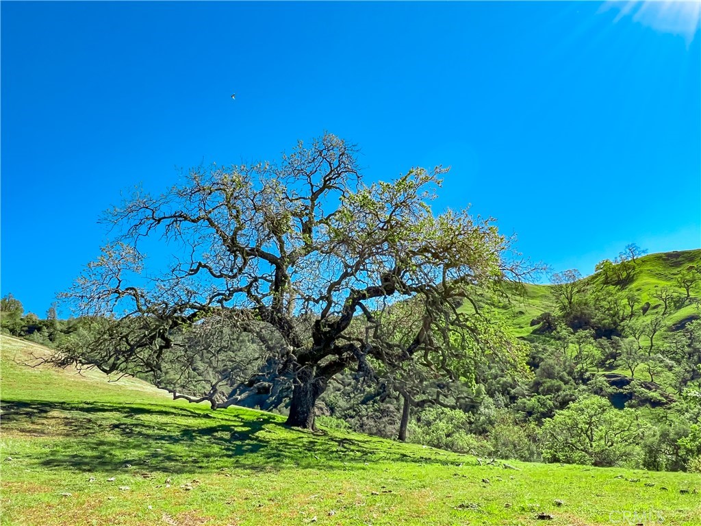 Cambria Rural(390) - Land