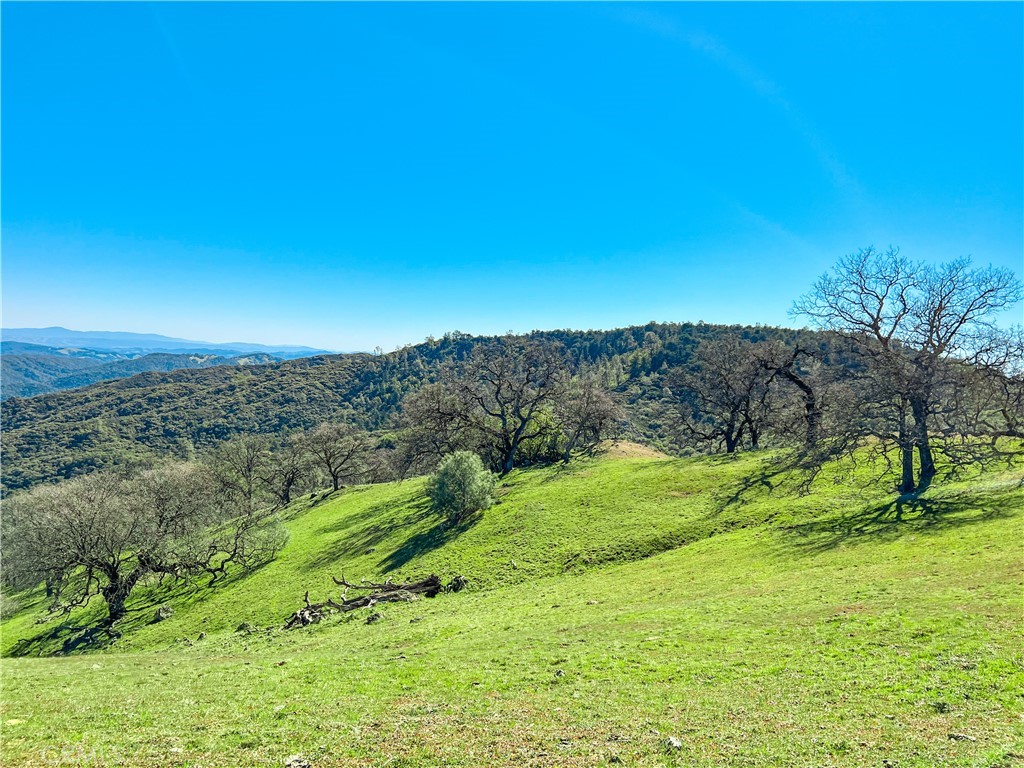 Cambria Rural(390) - Land