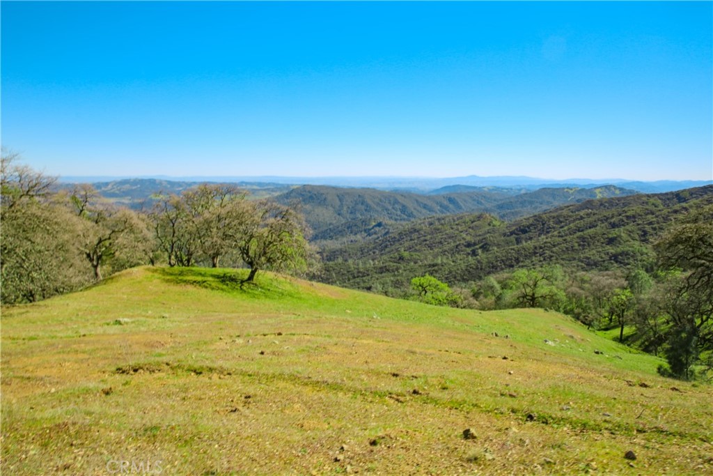Cambria Rural(390) - Land