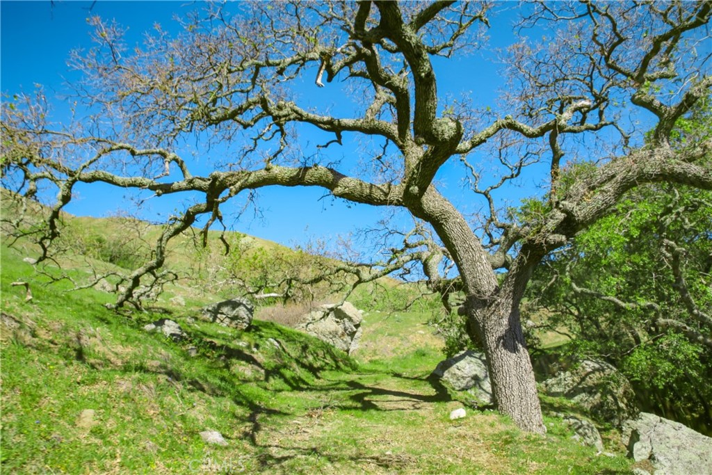 Cambria Rural(390) - Land