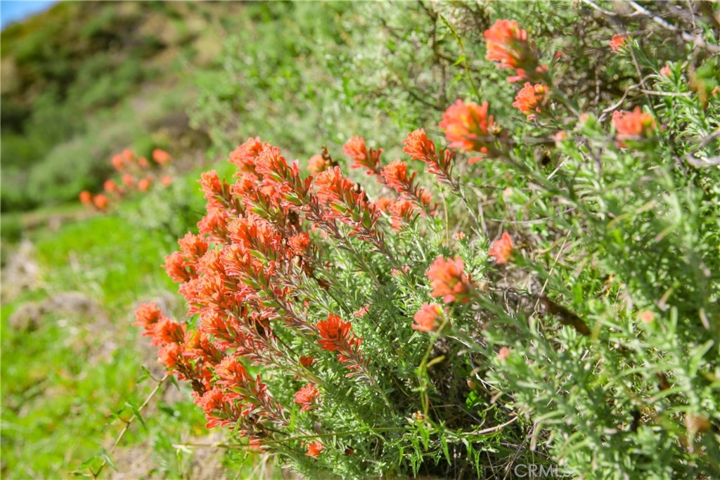 Cambria Rural(390) - Land