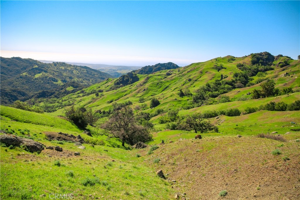 Cambria Rural(390) - Land