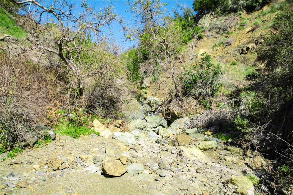 Cambria Rural(390) - Land