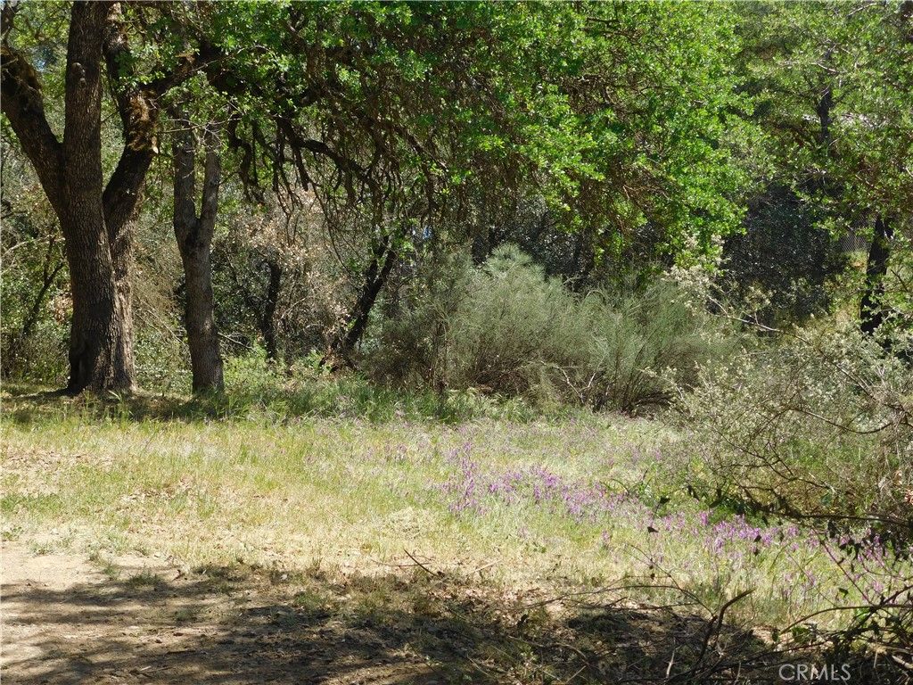 listing image 130726654595782961381