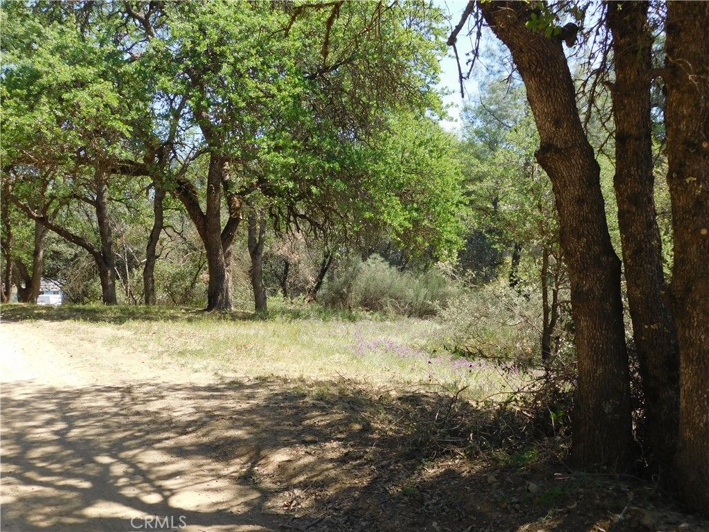 listing image 130722322378930817171