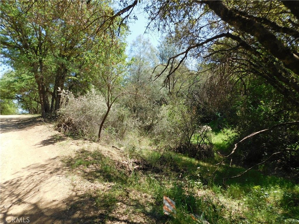 listing image 130720574668663024768