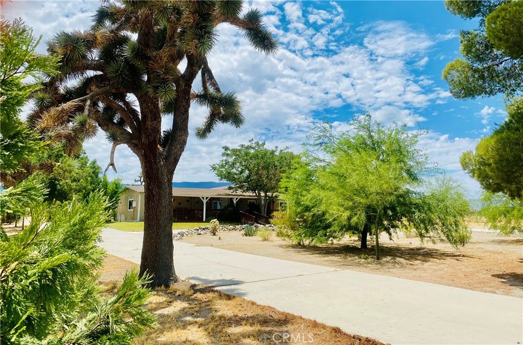 listing image 130727697319279118552
