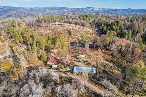 A home in Berry Creek