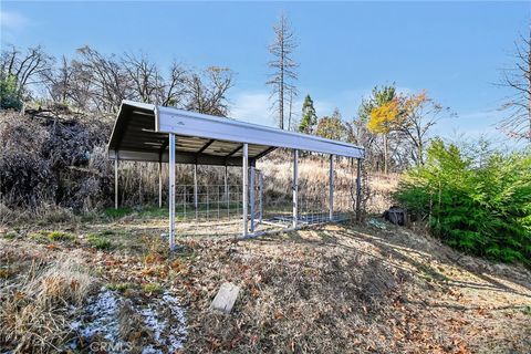 A home in Berry Creek