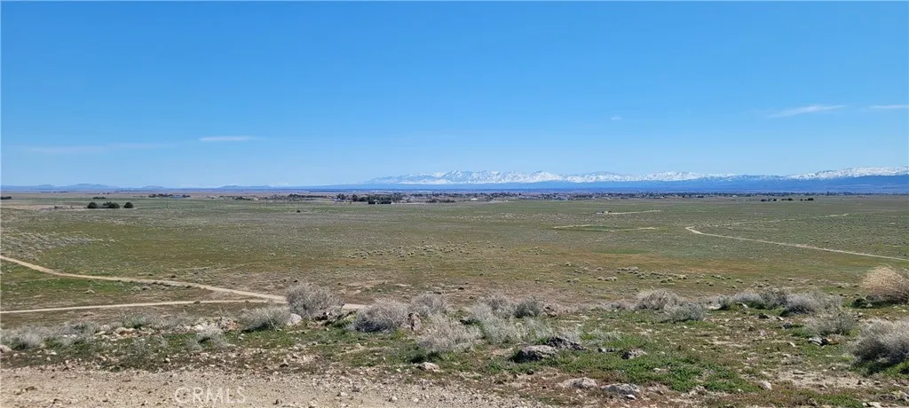 Antelope Acres, California 93536, United States, ,Land,Active,61805