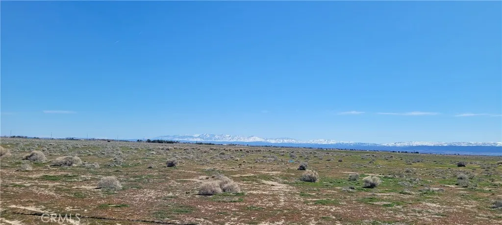 Antelope Acres, California 93536, United States, ,Land,Active,61805