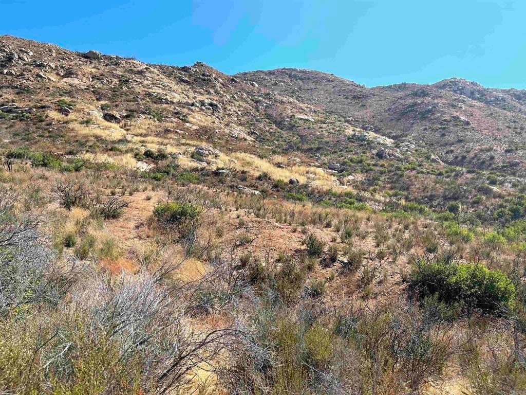 listing image 130729074718396269099