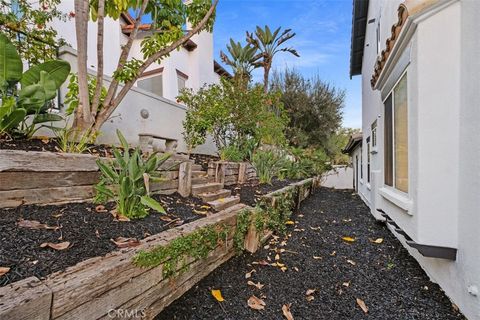 A home in Coto de Caza