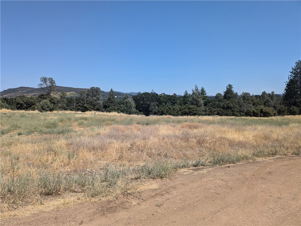 Vacant lot close to town. Flat and buildable lot. Mountain views. No utilities connected but available in the area. Come pick this one up and start building your vacation or permanent residence.