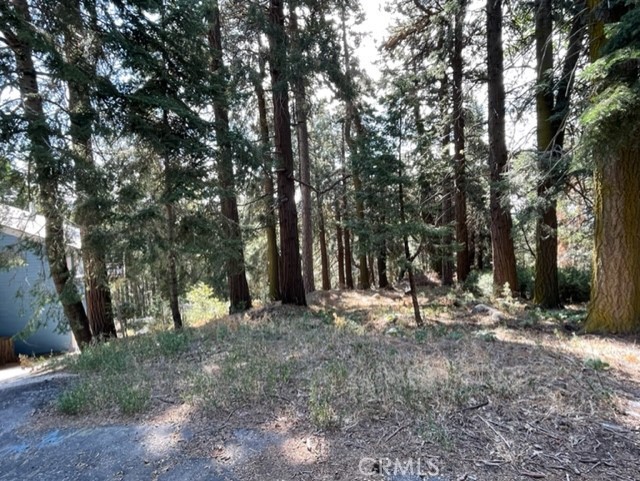 THIS LOT IS 11,090 SQUARE FEET OF GENTLE DOWN SLOPING LAND, PERFECT FOR BUILDING A HOME. PARTIAL VALLEY VIEW FILTERED THROUGH TREES, VIEW OF LAKE SILVERWOOD, MINUTES AWAY IS LAKE GREGORY AND LAKE ARROWHEAD. THIS AREA IS SEPTIC ONLY. UTILITIES ARE NEAR BY. SELLER OWNS THE WATER RIGHTS. THERE ARE 4 WORKING WELLS TO TAP INTO. BUYERS AND BUYER AGENT TO CALL THE LOCAL WATER CONPANY FOR MORE INFORMATION ON TRANSFER OF WATER RIGHTS AND WELLS. THE LOCATION IS QUIET WITH EASY ACCESS TO THE MAIN ROAD. ADDRESS NOT YET ASSIGNED BY COUNTY. THE NUMBER USED IS FOR LISTING PURPOSES ONLY.