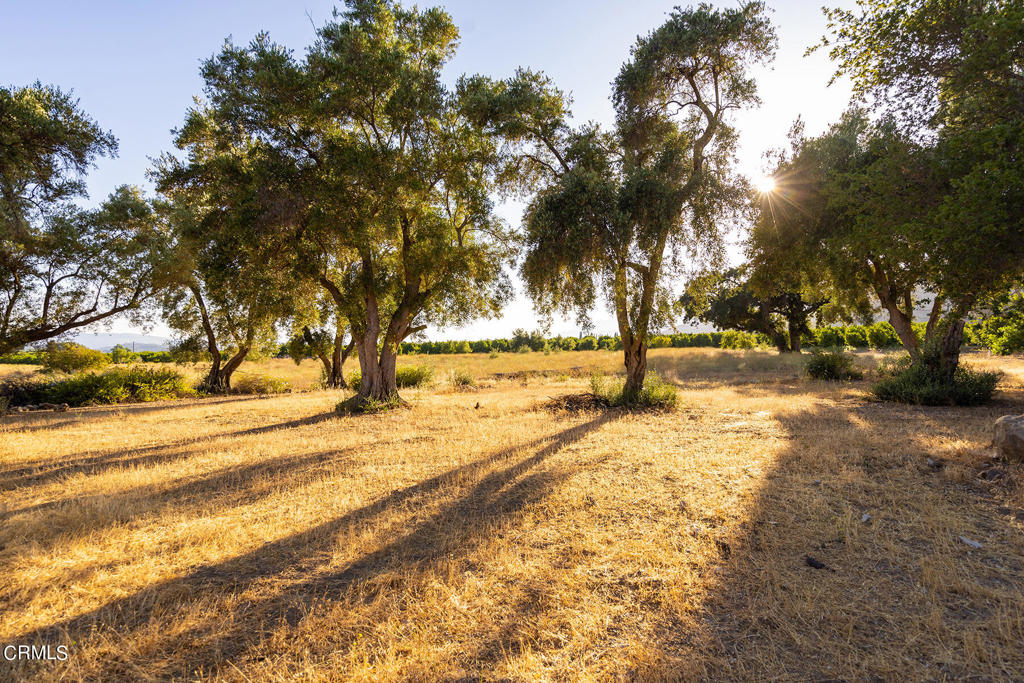 Ojai: Other - Land