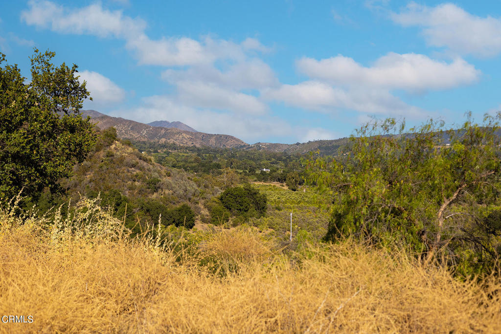Ojai: Other - Land
