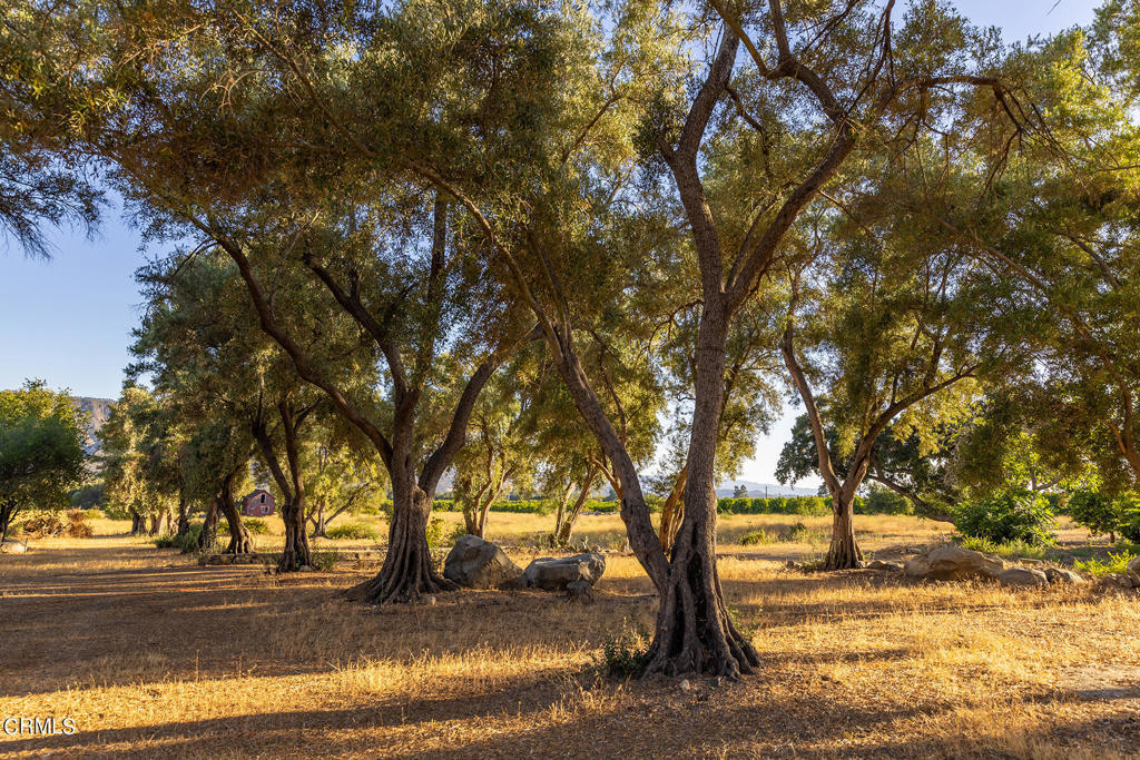 Ojai: Other - Land