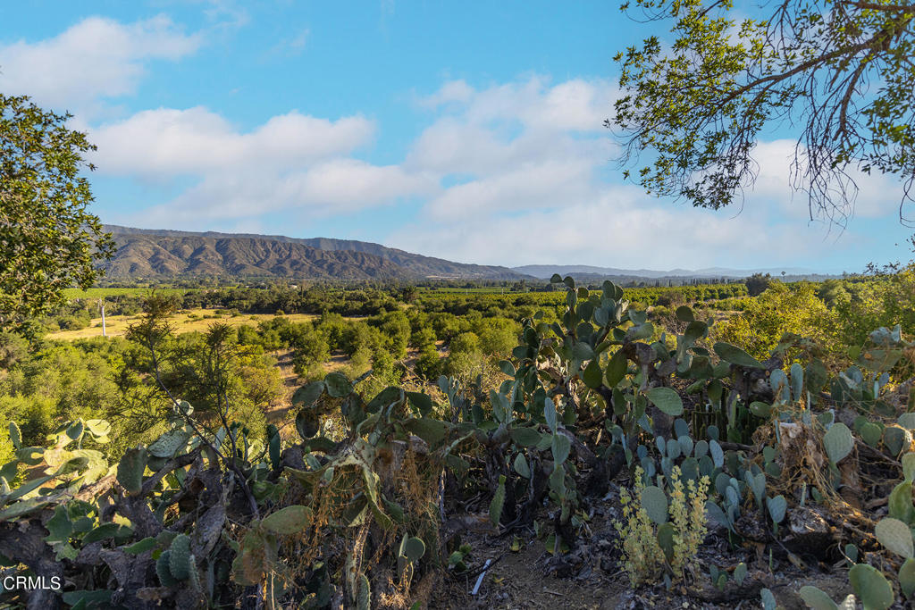 Ojai: Other - Land