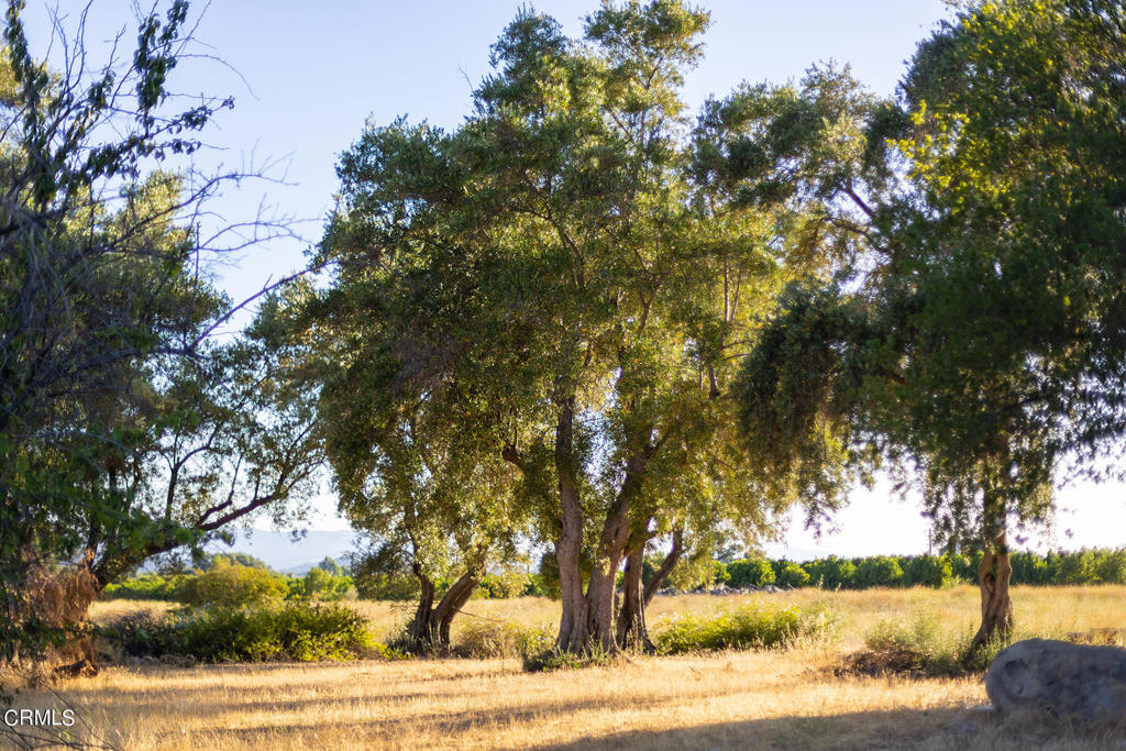 Ojai: Other - Land