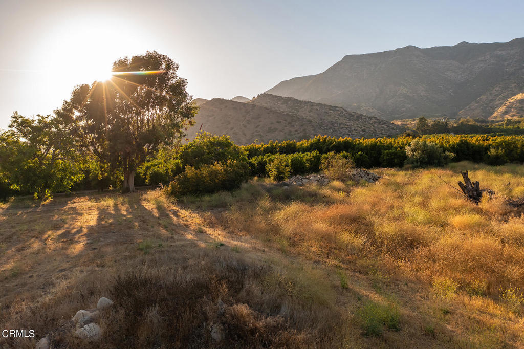 Ojai: Other - Land