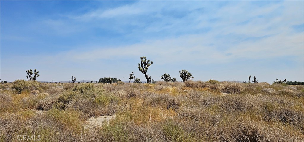 90 E Avenue I