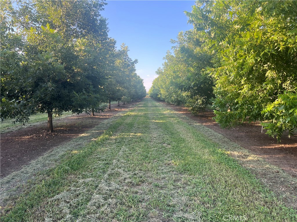 37+ acres of pecans planted in the spring of 2013, approximately 5 acres of irrigated pasture and approximately 17 acres of winter grazing land. Improvements include a 2013 2-bedroom 2 bath mobile home on a permanent foundation; a shop/equipment storage building that is 42’ x 100’ and a solar array that is 22,440 watts. The mobile home is rented on a month-to-month basis and generates $16,100 per year in rental income. Please see supplements for additional details.
This property comes with multiple opportunities for an owner. Butte County zoning allows for accessary dwelling units. This allows for someone to build a new residence and keep the mobile home; you have the future income from the pecan crop and a beautiful place to live. It is very well maintained and in good condition. If you have an entrepreneurial spirit, you could develop your own market for the pecans, the current owner has been selling a small portion of the crop at farmer’s market, but there is also the potential to do direct sales online.