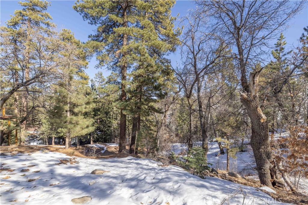 Zoned R-3, the possibilities are endless!! Nestled just 1/3 mile from the renowned Bear Mountain Ski Resort and the majestic expanse of the National Forest, this spacious 16,371 square foot lot offers the perfect canvas for your dream ski retreat, or for the multi-family opportunity you've been waiting for. Imagine waking up to breathtaking views of the ski slopes right from your own cabin's windows. With ample space to design and build, the possibilities are endless. Whether you envision a cozy cabin for intimate getaways or a spacious lodge for entertaining family and friends, this property provides the ideal backdrop for your vision to come to life. Skiing and boarding enthusiasts will delight in the proximity to Bear Mountain Ski Resort. Carve through fresh powder and explore the slopes to your heart's content... and when the snow melts, the adventure continues with abundant hiking trails and opportunities to immerse yourself in the natural beauty of the surrounding National Forest. Escape the hustle and bustle of city life and breathe in the crisp, fresh mountain air as you embrace the tranquility and serenity of this idyllic location. Don't miss your chance to make your mountain dreams a reality – seize this rare opportunity to own your own piece of mountain paradise today! (An address has not yet been assigned to this property)