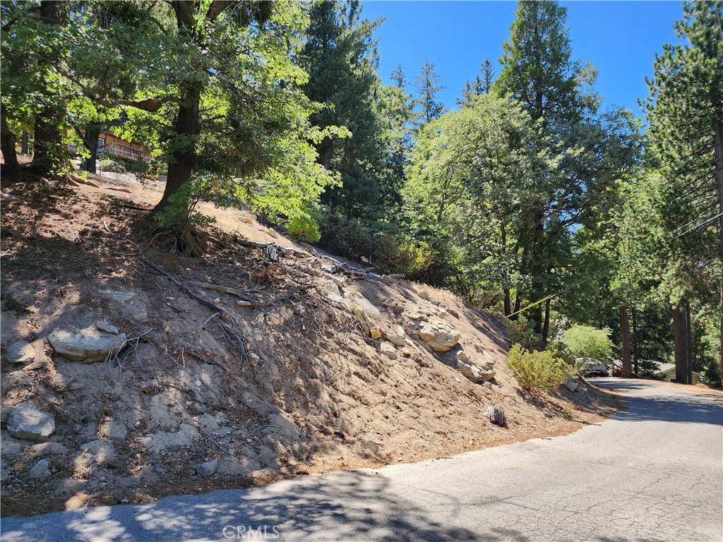 Mile High Park (MILE) - Land