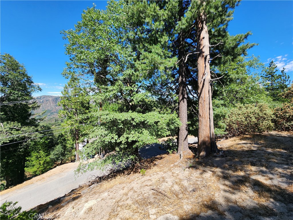 Mile High Park (MILE) - Land