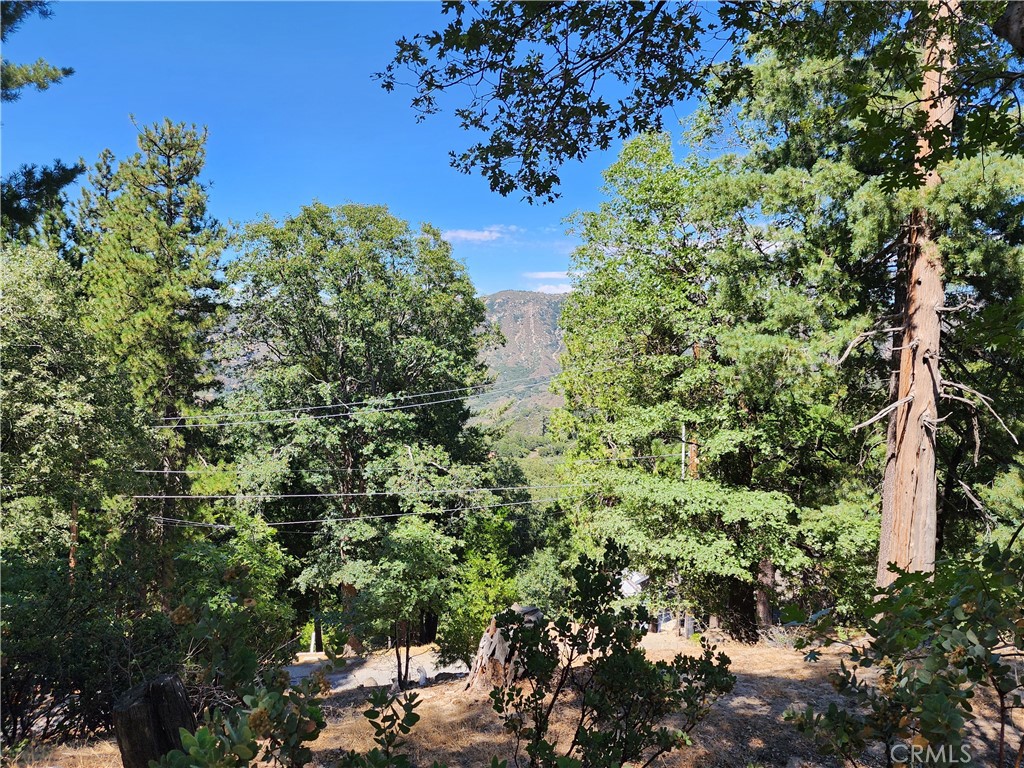 Mile High Park (MILE) - Land