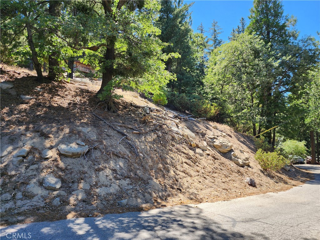 Mile High Park (MILE) - Land