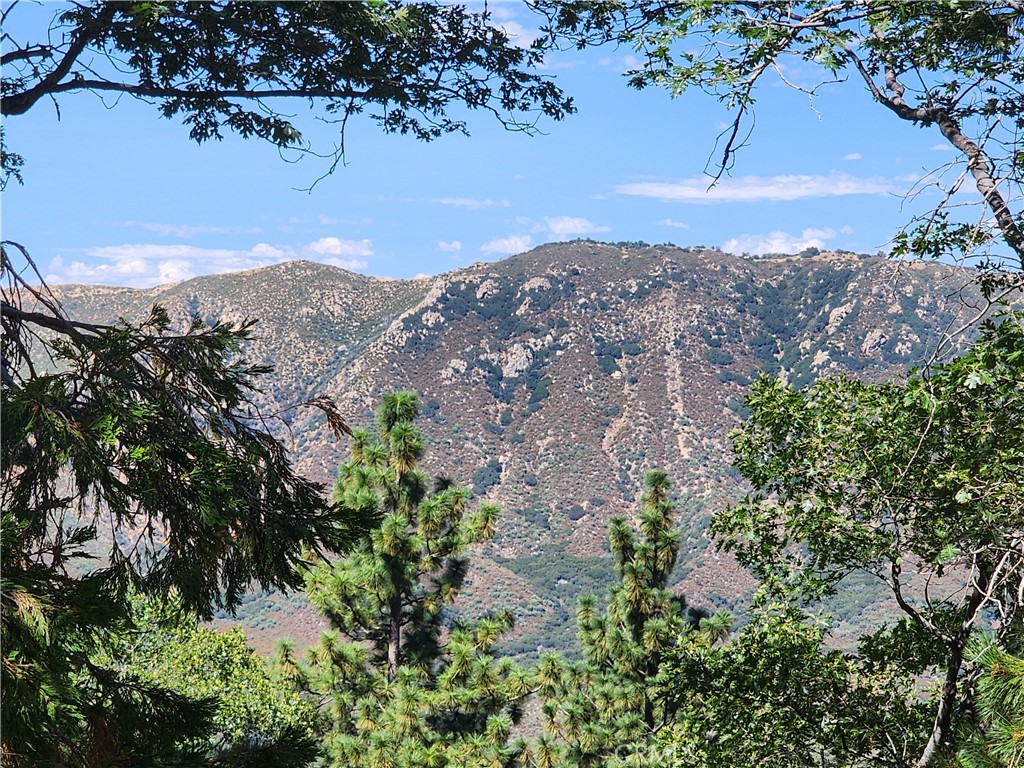 Mile High Park (MILE) - Land