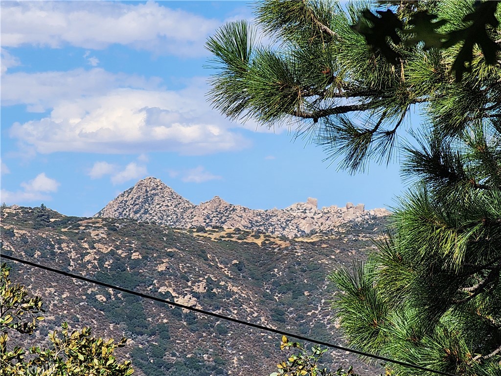 Mile High Park (MILE) - Land