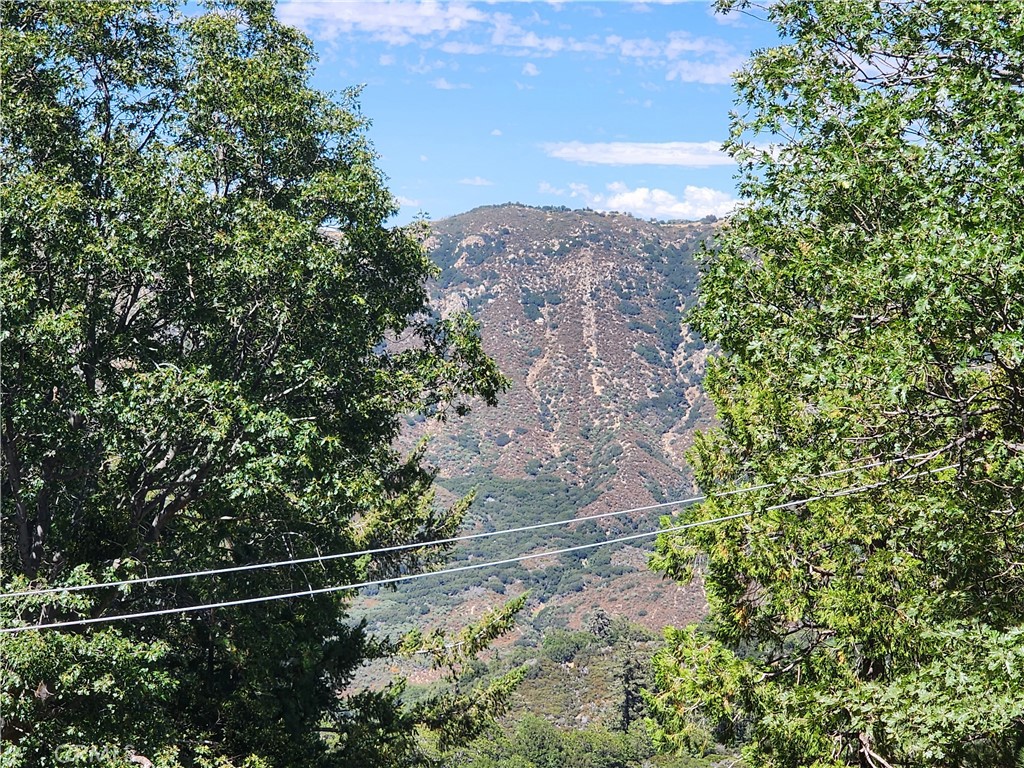 Mile High Park (MILE) - Land