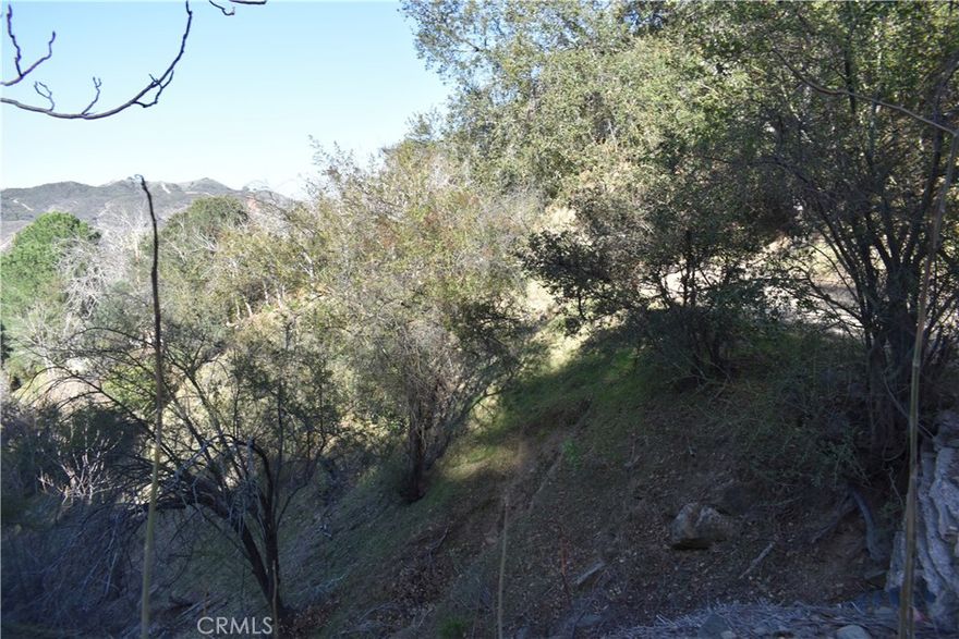 This vacant lot located in Cedarpines Park is a very desirable piece of land in the mountains of  Southern California! Don't miss this opportunity!