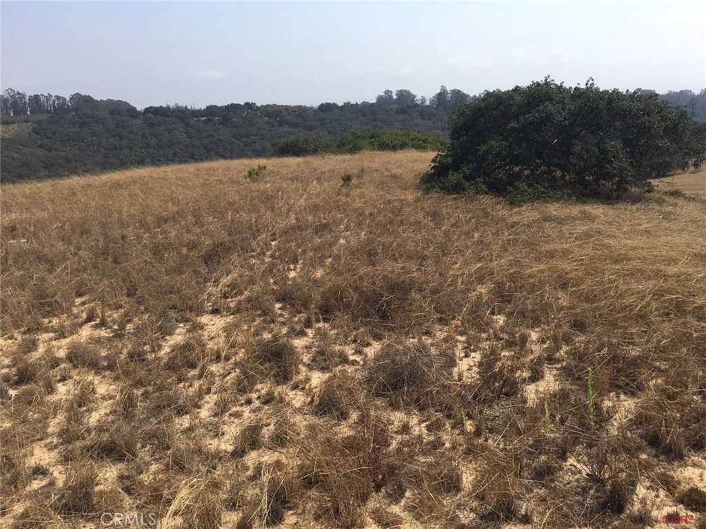 Great view parcel with a two acre building envelope with a level pad for home. Can also build guest house, shop, etc. Remaining 34 acres under conservation easement. Security gated community. Call agent for Conservation details.