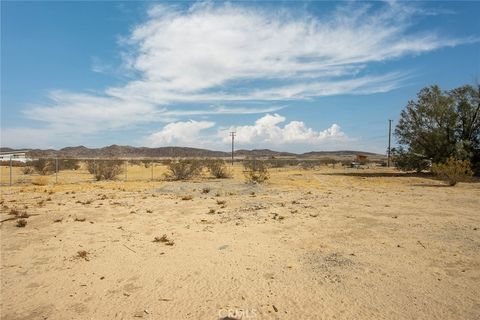 A home in Joshua Tree