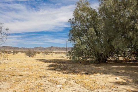 A home in Joshua Tree