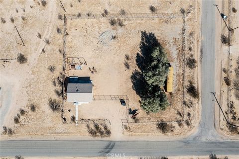 A home in Joshua Tree