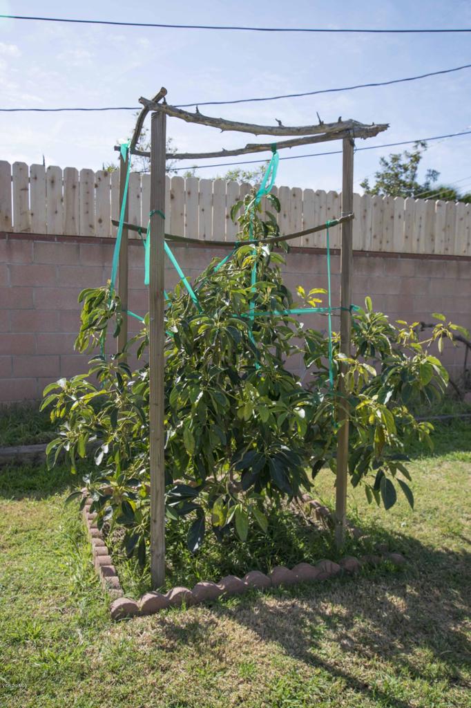 Los Serenos - 0601 - Residential