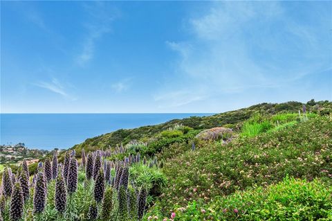 A home in Laguna Niguel