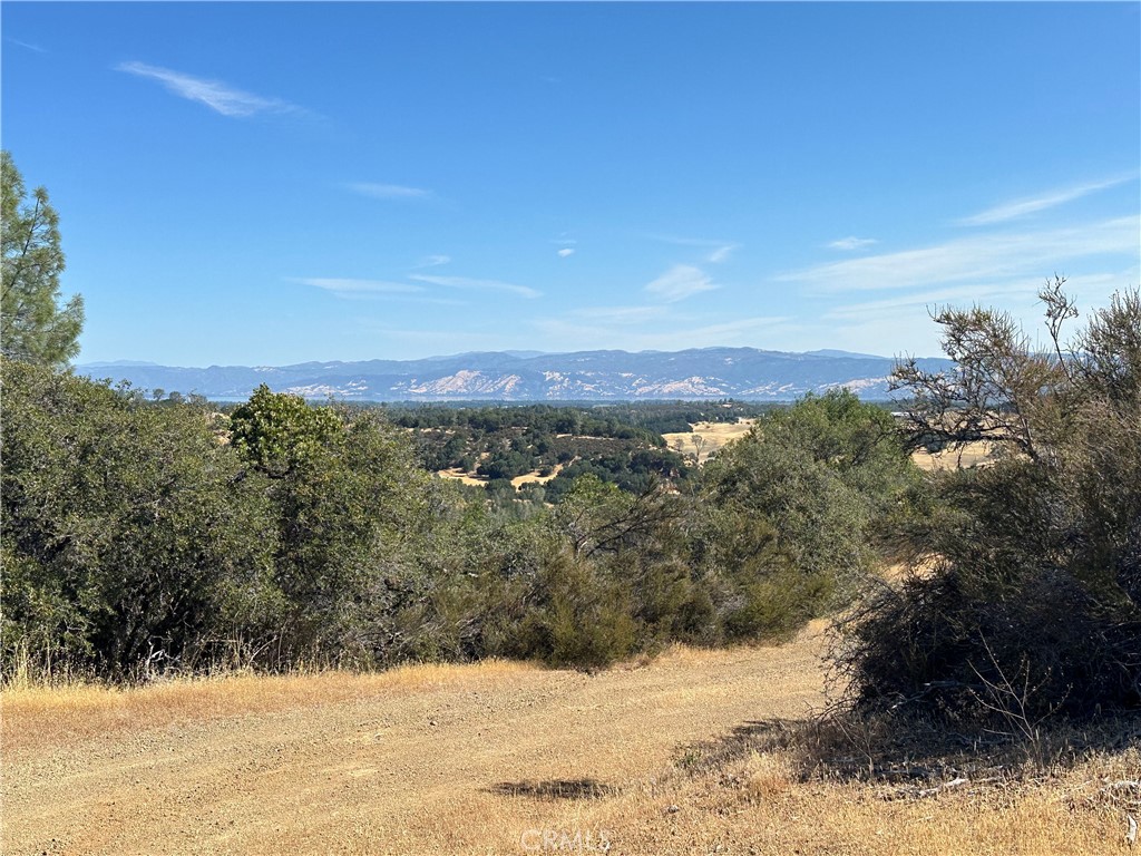 View Kelseyville, CA 95451 property