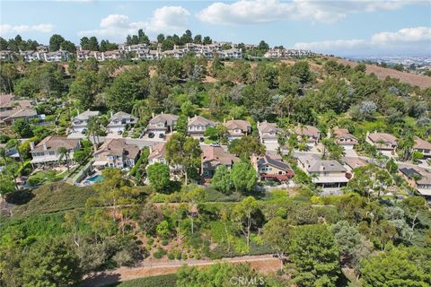 A home in Anaheim Hills