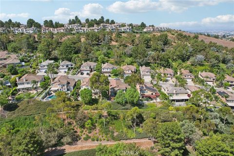 A home in Anaheim Hills