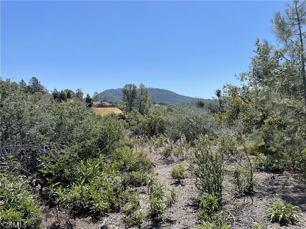 iew lot upper 426, newer homes 2 miles to Bass Lake shared well owner financing