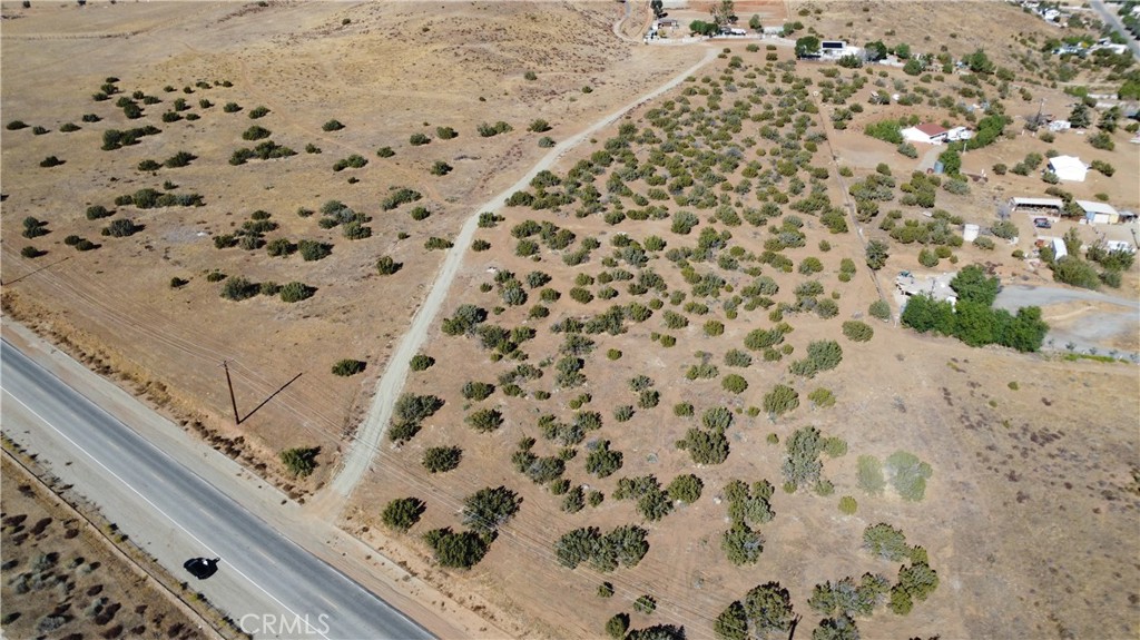 Custom Acton (CACTO) - Land