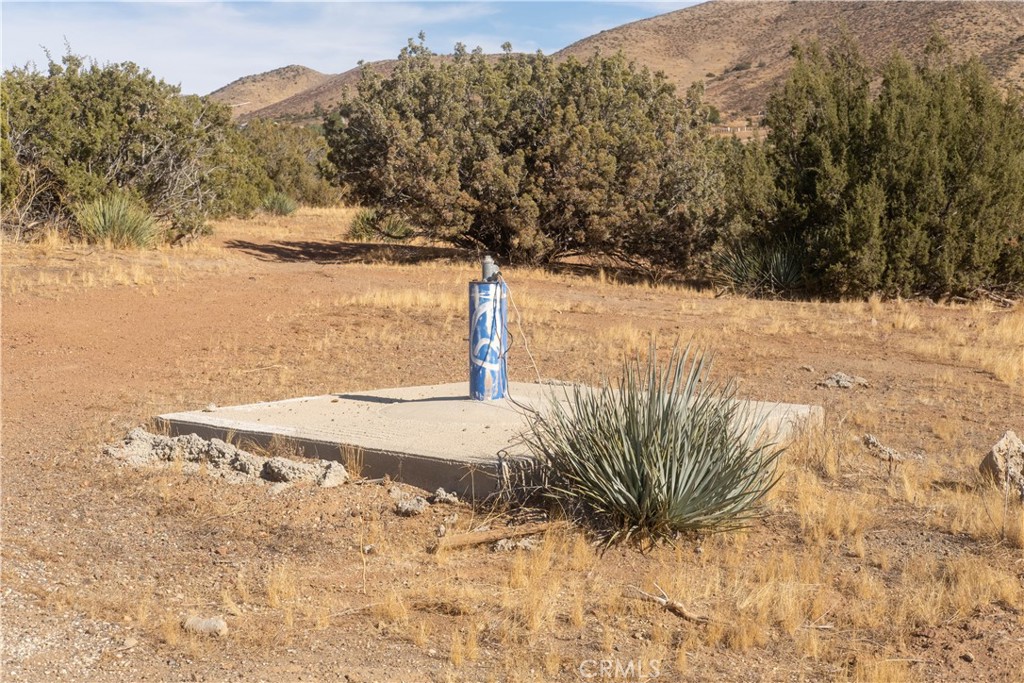 Custom Acton (CACTO) - Land