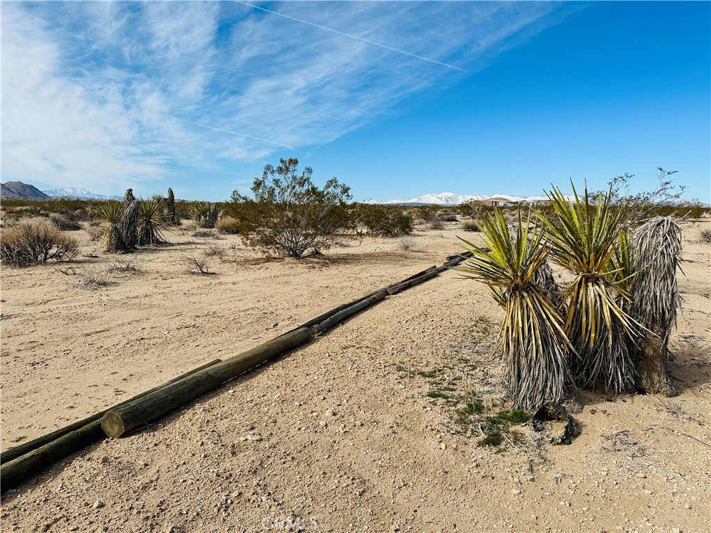 Spectacular location to enjoy the desert with privacy and views of mountains in the distance. 2.29 acres with good access, not far from paved Border Ave. 3 RV septic connections to a 1500 gallon septic tank. Wood fence posts line the border of the property. Newly built homes in the area. Turn this property into your dream desert sanctuary to relax and refresh. About 20 minutes to Joshua Tree National Park. Property does not have an assigned address - for listing purposes only. APN: 0631-292-04-0000 GPS: (34.2203588, -116.3042233)