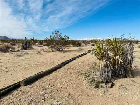 Photo of 1234 Desert Lily Street, Joshua Tree, CA 92252 (MLS # JT24182915) Photo of 1234 Desert Lily Street, Joshua Tree, CA 92252 (MLS # JT24182915)